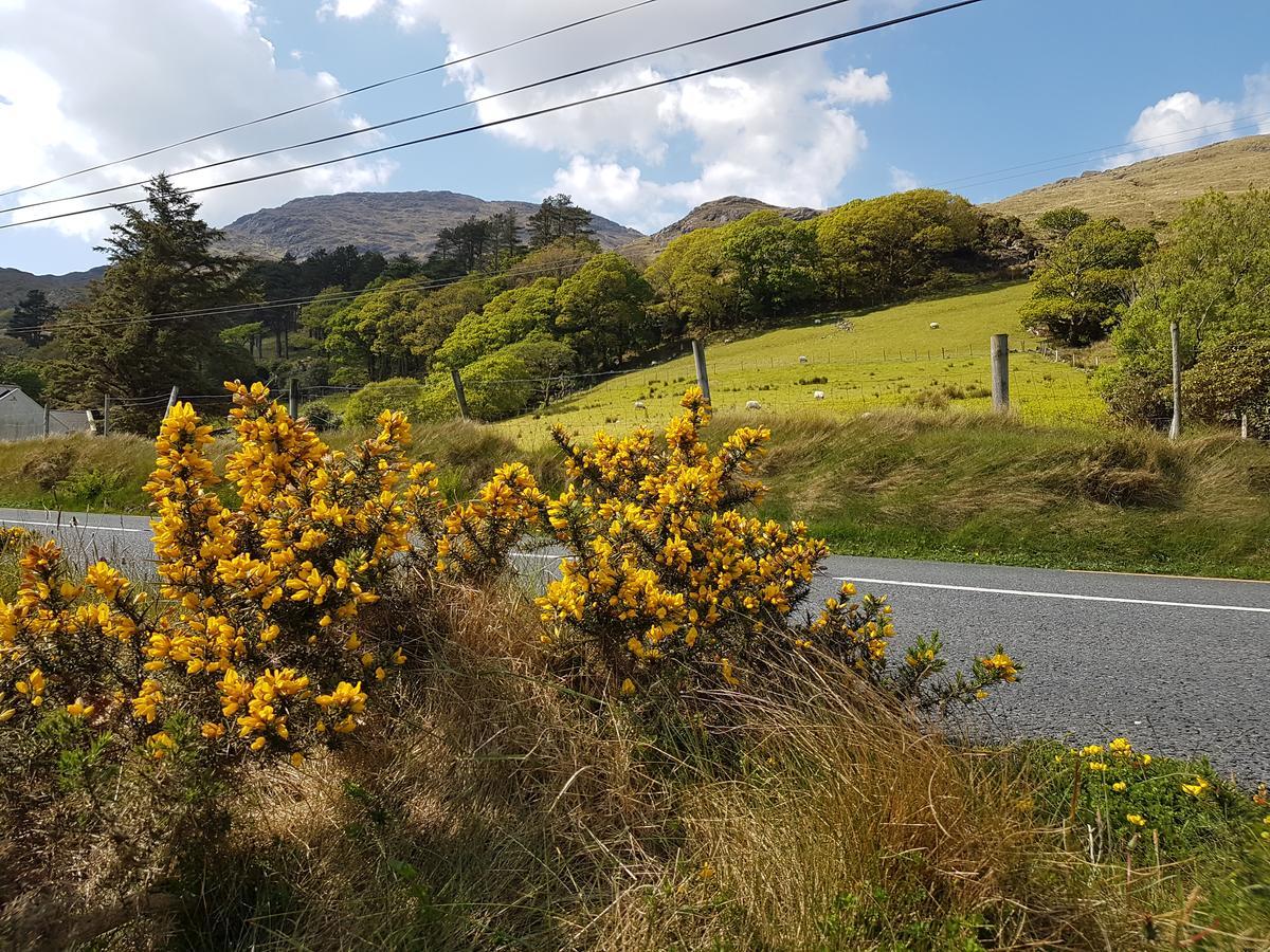 Kylemore Pass Hotel Letterfrack Luaran gambar